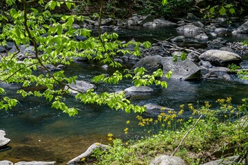 Obraz na płótnie Canvas rock creek park