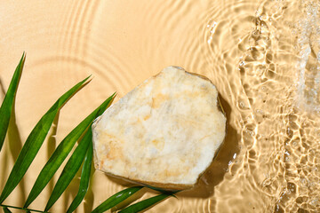 Stone and palm leaves in water on beige background