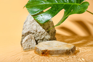 Stones and monstera leaf in water on beige background
