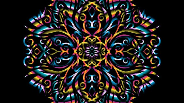 luxurious Sparkle of light shines motion graphics  colourful rainbow flowers line art  for intro opening ads commercial