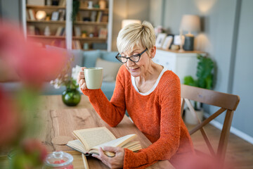 Senior woman mature caucasian female read book at home wear eyeglasses