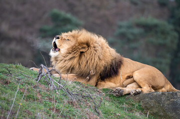 Fototapete bei efototapeten.de bestellen   