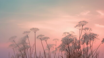 Soft pink sky with delicate clouds