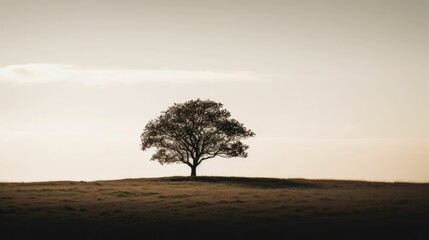 Silhouette of lone tree against neutral background