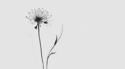 Minimalist black and white flower sketch