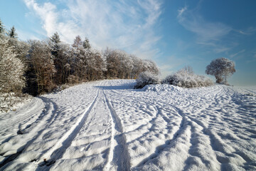 Fototapeta na wymiar Snowy winter in the meadow and forest under the blue sky