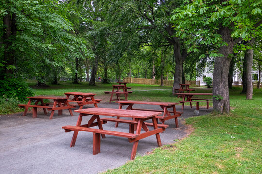 Multiple vibrant red painted wooden picnic tables on a park campground site with large lush trees, a paved parking spot, and vibrant green grass during the summer. The summer campground is empty