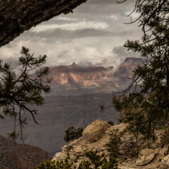 Peeking Through Trees to a Cloud Filled Grand Canyon