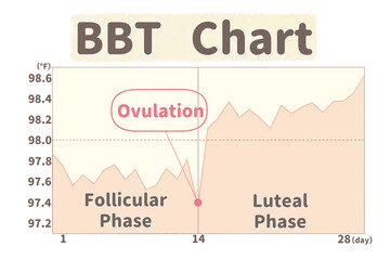 BBT charting diagram; English language PNG