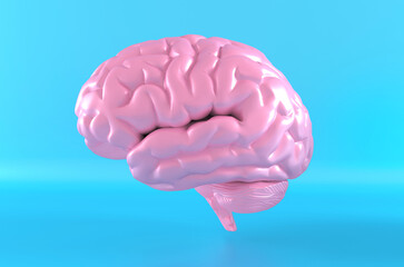 Human brain anatomical model, side view. 3d rendering.