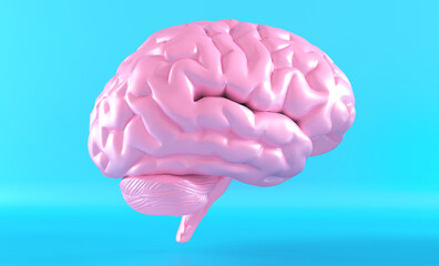 Human brain anatomical model, side view. 3d rendering.