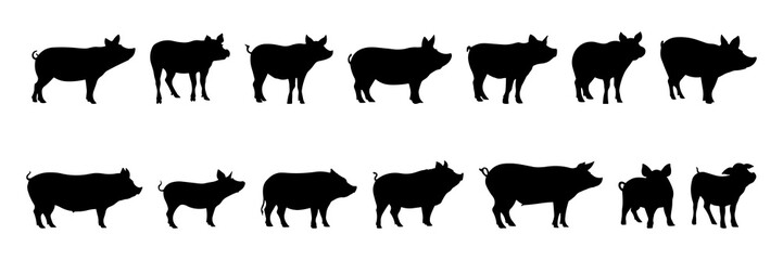 Pig silhouettes set, large pack of vector silhouette design, isolated white background