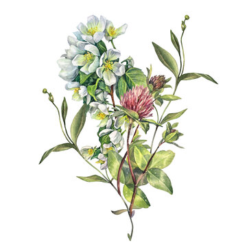 watercolor white flowers and green leaves clip art preview