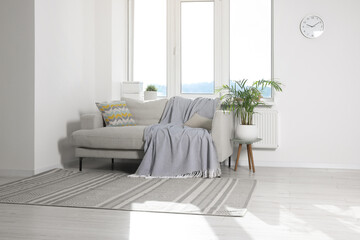 Cosy living room with sofa and potted plant. Interior design