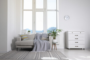 Fototapeta na wymiar Cosy living room with sofa, chest of drawers and potted plant. Interior design