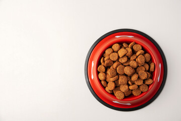 Dry dog food in feeding bowl on beige background, top view. Space for text