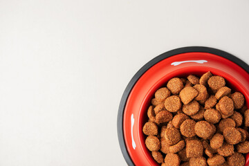 Dry dog food in feeding bowl on beige background, top view. Space for text