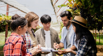 Teacher with a group of students in agronomy looking at vegetation in grape plant greenhouse.