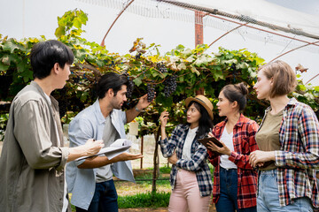 Teacher with a group of students in agronomy looking at vegetation in grape plant greenhouse.