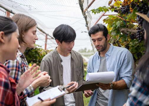 Teacher with a group of students in agronomy looking at vegetation in grape plant greenhouse.