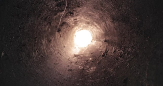 Tube hole motion towards bright light source