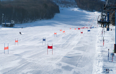 スキー場でスラローム競技の練習をするスキーヤー