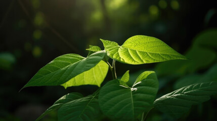Fototapeta premium closeup of green leaves of a plant in summer. sunbeams shine through. Generative AI