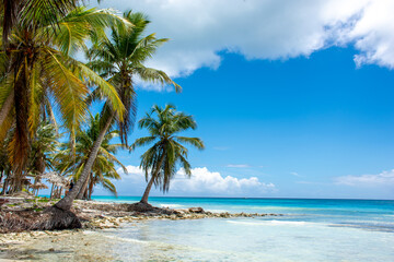 Fototapeta na wymiar Dominican Republic, beautiful Caribbean coast with turquoise water and palm trees.