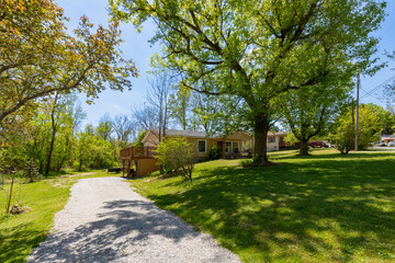 yard or outdoor space