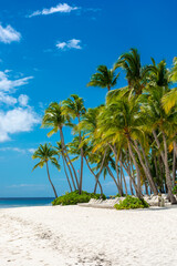 Dominican Republic, beautiful Caribbean coast with turquoise water and palm trees.