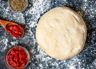 Raw dough preparation or pizza with ingredient: tomato sauce, spices. Flat lay style