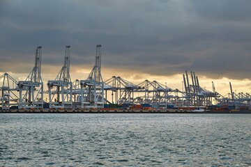 Fototapeta premium Container Dock in Rotterdam