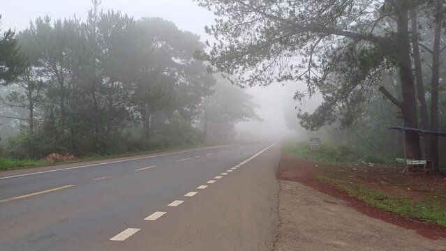 Morning on the street with fog, in highlands of Vietnam