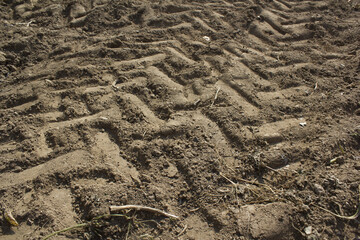 Tire tracks on dirt road.