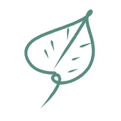 green leaf isolated on white, Illustration digital art.
