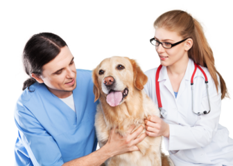Cute Dog with veterinarians in clinic
