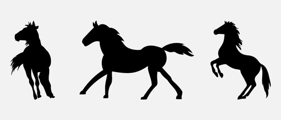 Fototapeta na wymiar isolated black silhouette of a horse, vector collection