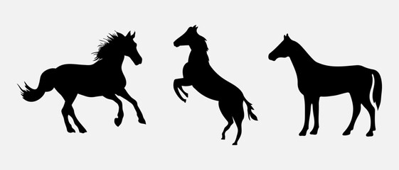 isolated black silhouette of a horse, vector collection