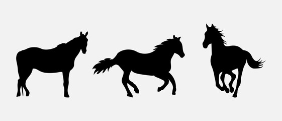 isolated black silhouette of a horse, vector collection