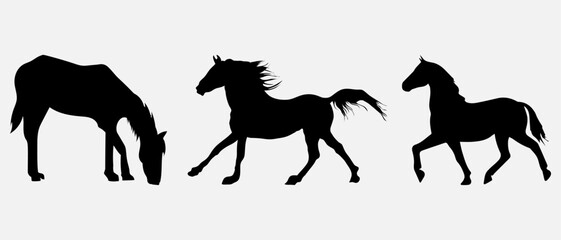 isolated black silhouette of a horse, vector collection