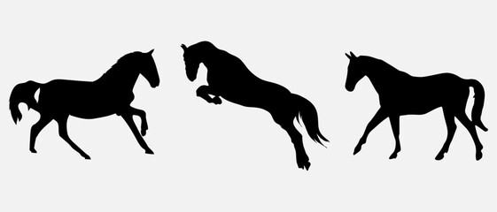isolated black silhouette of a horse, vector collection
