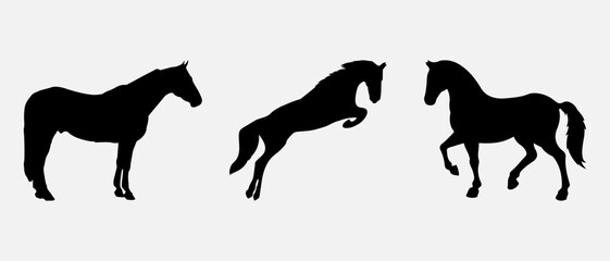 isolated black silhouette of a horse, vector collection