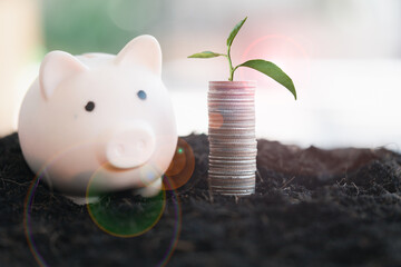 Growing plants on coins tower stacked with pink piggy bank on soil, Money growing concept. Saving...