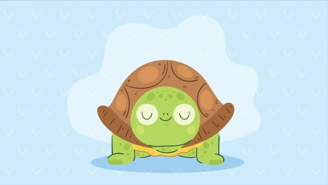 cute turtle front character animation