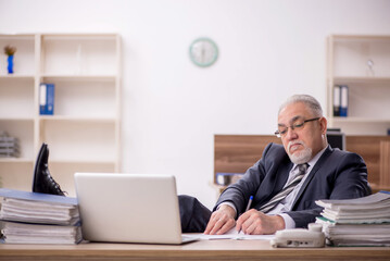 Old male boss employee working in the office