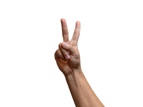 MANOS DE HOMBRE EN DISTINTOS GESTOS Y SEÑAS, APUNTANDO, SOSTENIENDO, SEÑALANDO, PUÑO, VICTORIA, PALMA, CONTANDO, PAZ, TRES, CUATRO.