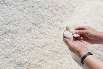 sea salt heap in hands. Rock salt, salt flakes, Nin, Croatia. Nature sea Salt works