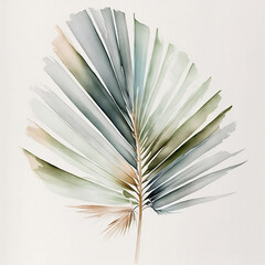 Palm Leaf Illustration