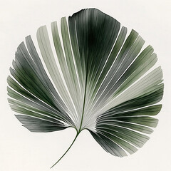 Palm Leaf Illustration
