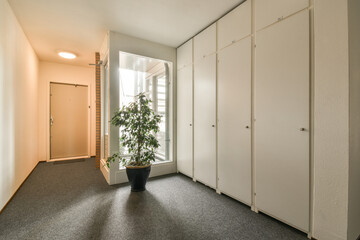a plant in the corner of an empty room with white walls and doors on either side, there is no one